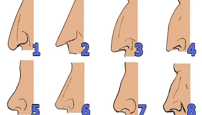 SHAPE OF YOUR NOSE REVEALS WHAT KIND OF PERSON YOU ARE: Find out who cheats and who will get rich