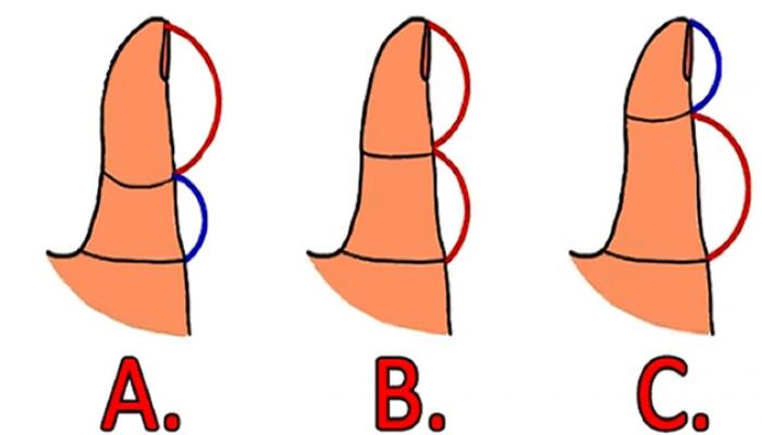 What your thumb is like, so is your love life: Let's check this... 