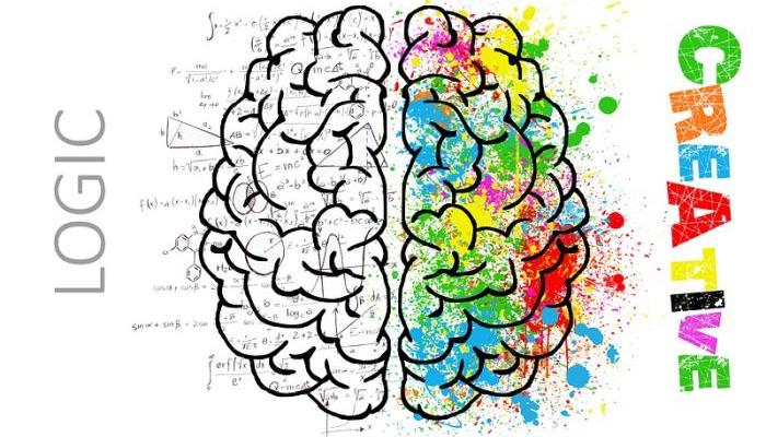 WHAT KIND OF BRAIN DO YOU HAVE, MALE OR FEMALE: Look at your fingers, compare them and learn something new about yourself!