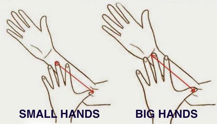 What does the length of your hands say about you? 