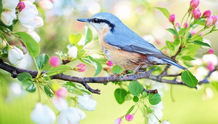 ASTRO PROGNOSIS FOR SPRING 2017: Many souls thirsty for love can expect very interesting period from April to June