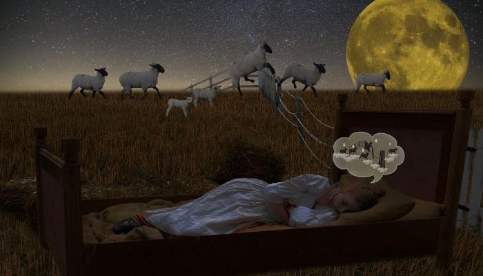 Fight against insomnia: Advice from Zodiac